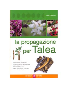La propagazione per Talea