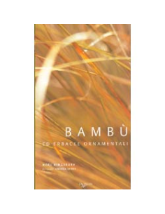 Bambù ed erbacee ornamentali
