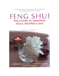 Feng Shui 