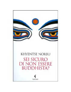 Sei Sicuro di non Essere Buddhista?
