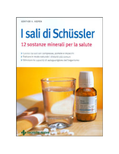 I Sali di Schussler