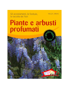 Piante e arbusti profumati