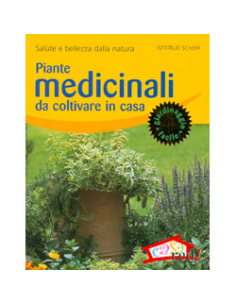 Piante medicinali da coltivare in casa