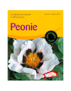 Peonie