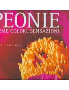 Peonie