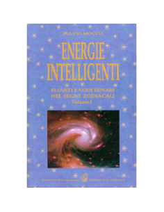Energie Intelligenti vol 1