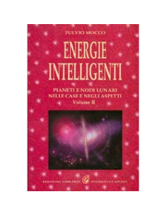 Energie Intelligenti vol 2