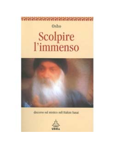 Scolpire l'immenso