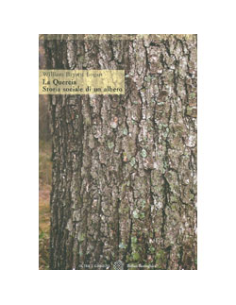 La Quercia