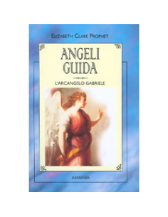 Angeli guida