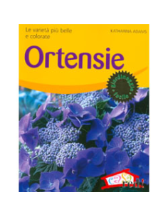 Ortensie