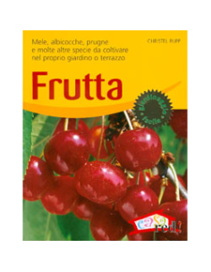 Frutta
