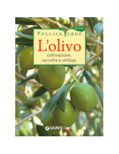 L'olivo