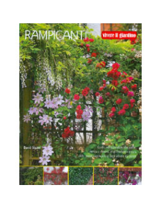 Rampicanti