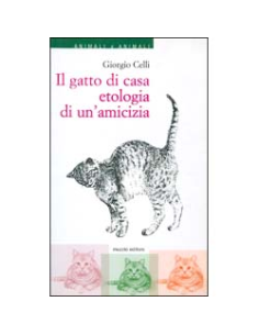 Il Gatto di Casa