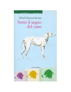 Sotto il Segno del Cane