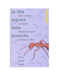 La Vita Segreta delle Formiche