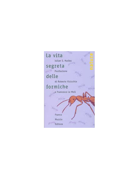 La Vita Segreta delle Formiche