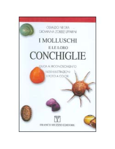 I Molluschi e le Loro Conchiglie