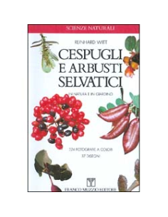 Cespugli e Arbusti Selvatici