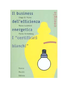 Il Business dell'Efficienza Energetica