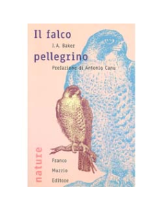 Il Falco Pellegrino