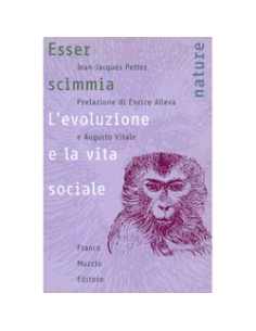 Esser Scimmia