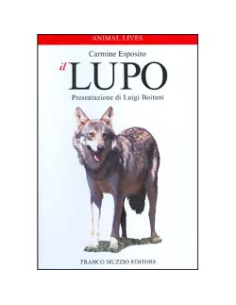 Il Lupo