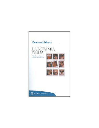 La Scimmia nuda