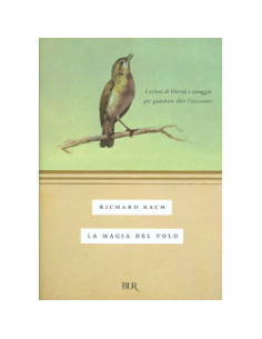La Magia del Volo