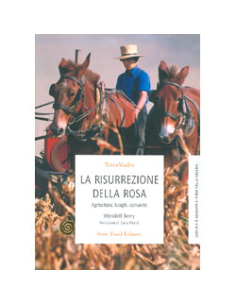 La Risurrezione della Rosa