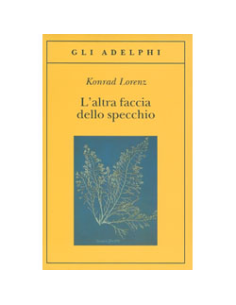 L'Altra Faccia dello Specchio
