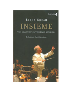 Insieme