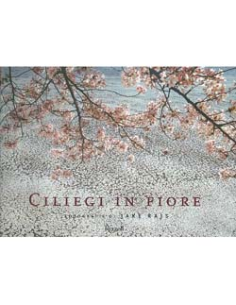 Ciliegi In Fiore
