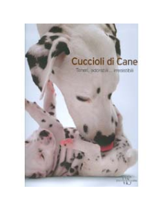 Cuccioli di Cane