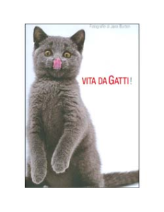 Vita Da Gatti!