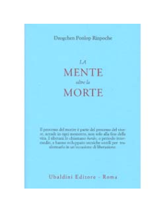 La Mente Oltre la Morte