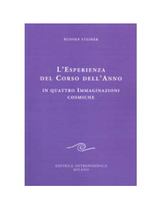 L'Esperienza del Corso dell'Anno