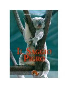 Il Saggio Pigro