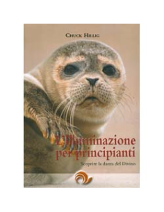 L'Illuminazione Per Principianti