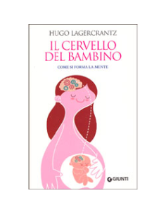 Il Cervello del Bambino