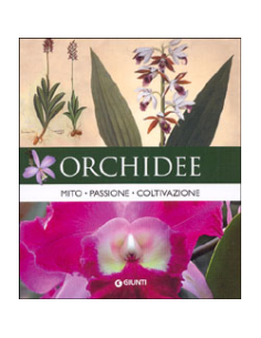 Orchidee