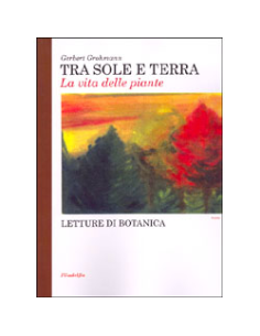 Tra Sole e Terra