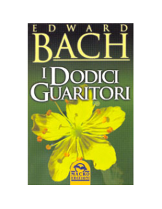 I Dodici Guaritori