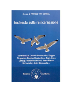 Inchiesta sulla Reincarnazione