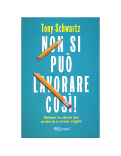 Non Si Può Lavorare Così
