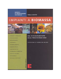 Impianti a Biomassa