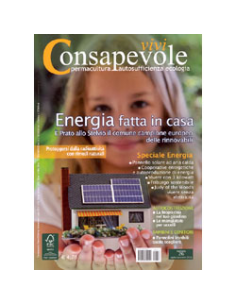 Vivi Consapevole n. 26 