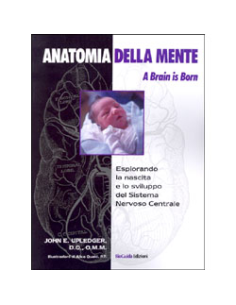 Anatomia della Mente -  A Brain is Born