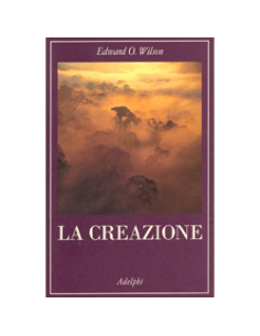 La Creazione